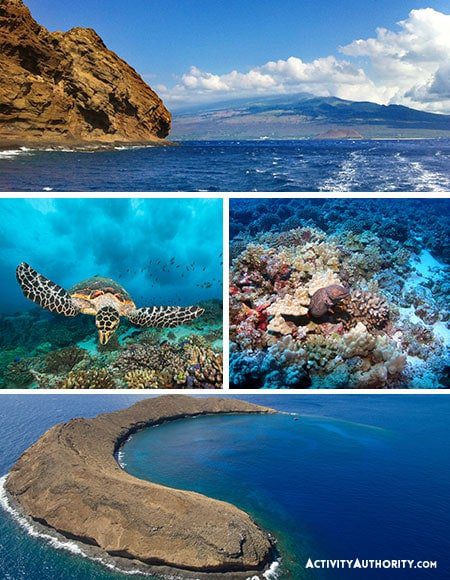 Short Molokini Snorkel Tour - iconic snorkeling destination