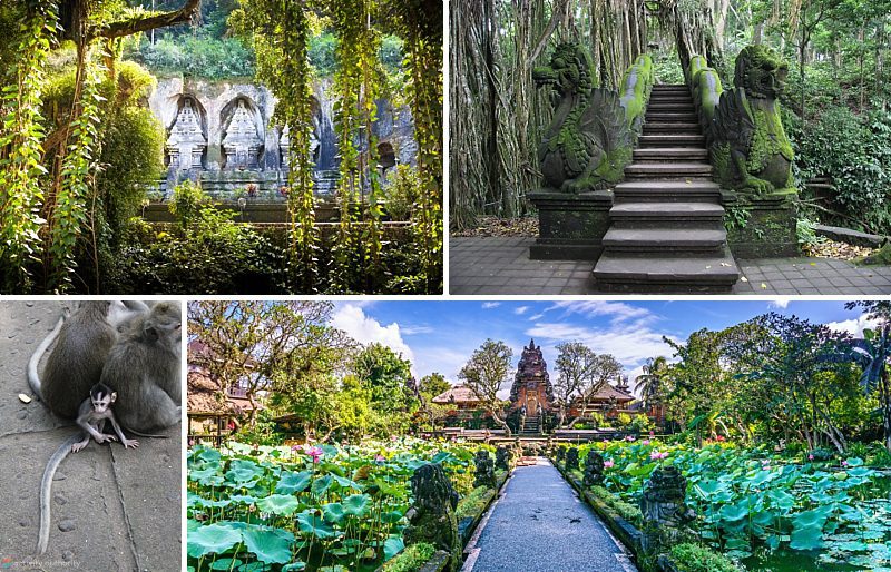 Bali Activities - Ubud Sights Bali Activities Ubud Sights