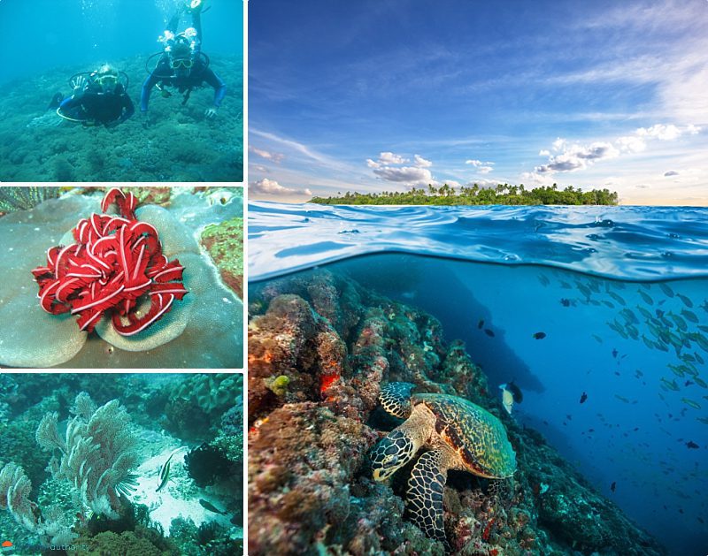 Bali Regions - Amed Scuba Diving Bali Regions Amed Scuba Diving