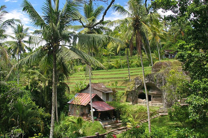 Bali Visa Information Bali Visa Information Scenery