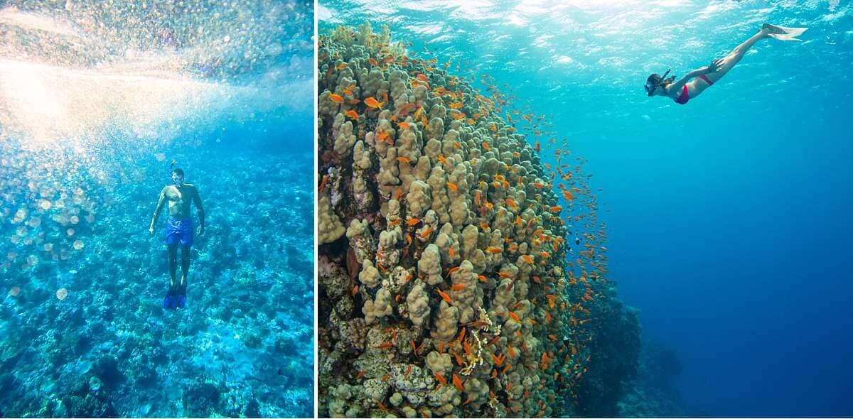 Big Island Snorkel Day