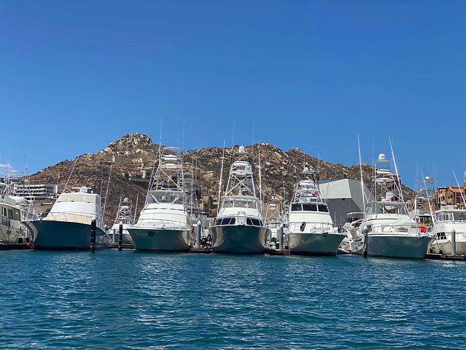 Cabo San Lucas Fishing Boats