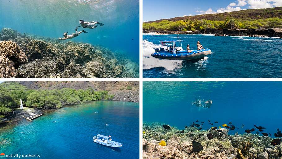 Top 5 Kona Snorkel Tours Captain Cook