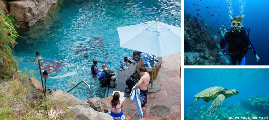 Grand Wailea scuba diving