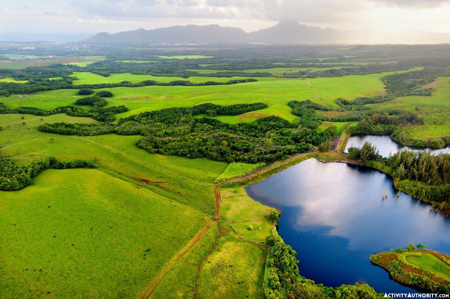 Green Fields on Kauai