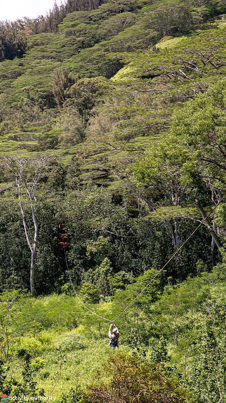 Kauai Zipline Over The Tree Tops Kauai Zipline Zipping