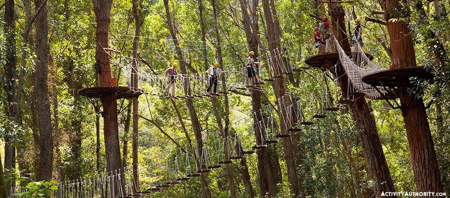 kohala canopy adventure
