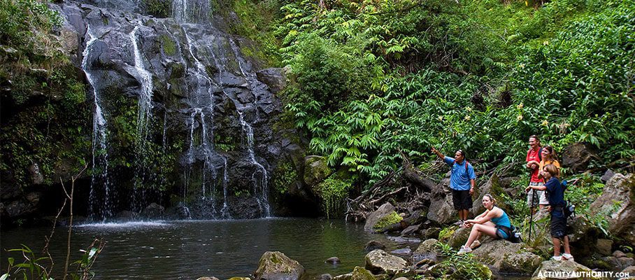 kohala waterfalls adventure