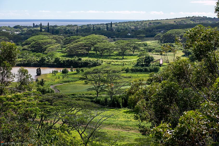 Koloa Zipline Kauai View