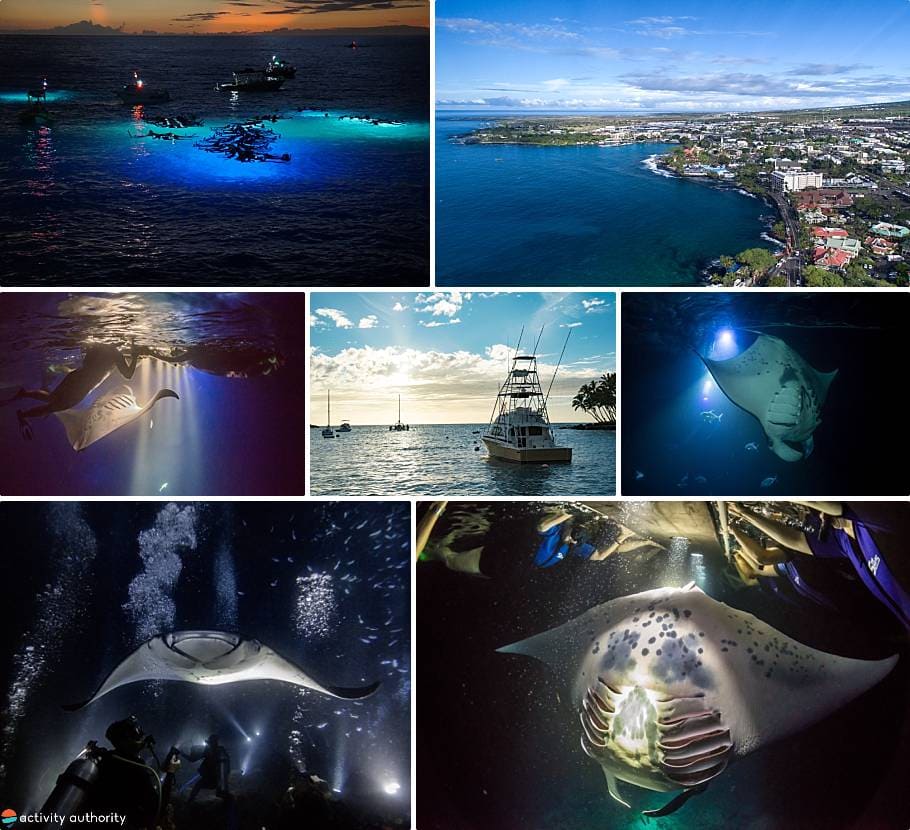 Kona Manta Ray Snorkel Tour Experience Kona Manta Ray Snorkel Experience