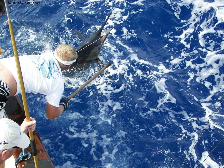 Kona marlin fishing