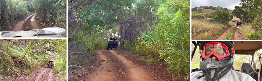 Lahaina Off Road Adventure Experience