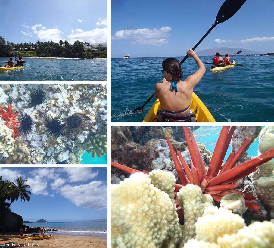 Top 5 Maui Kayak Tours Makena