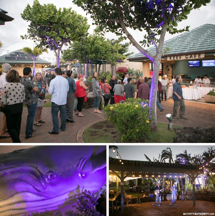 Maui aquarium party
