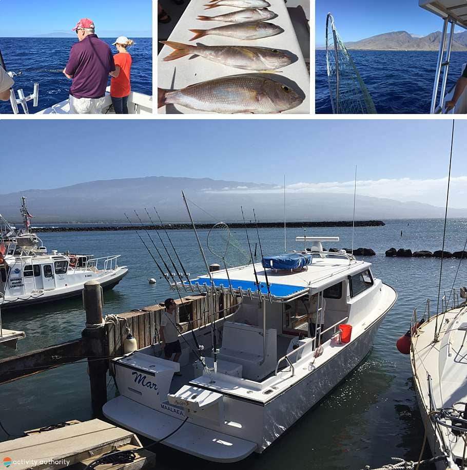 Morning Bottom Fishing Tour