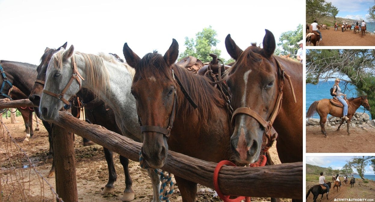 Maui horseback ride