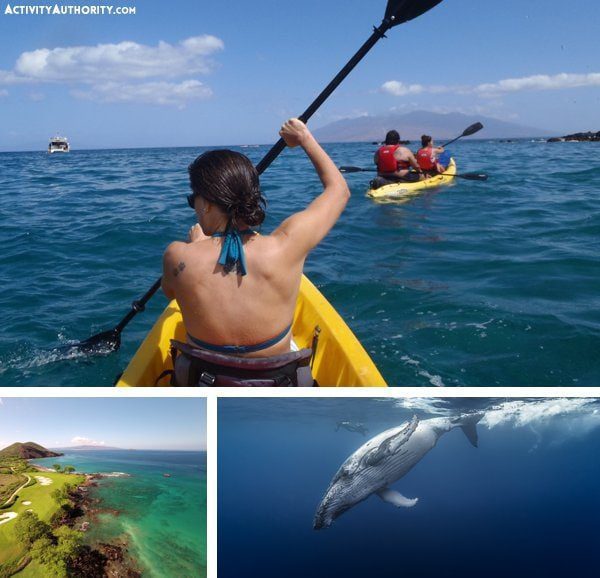 Maui Kayaking Whale Watching