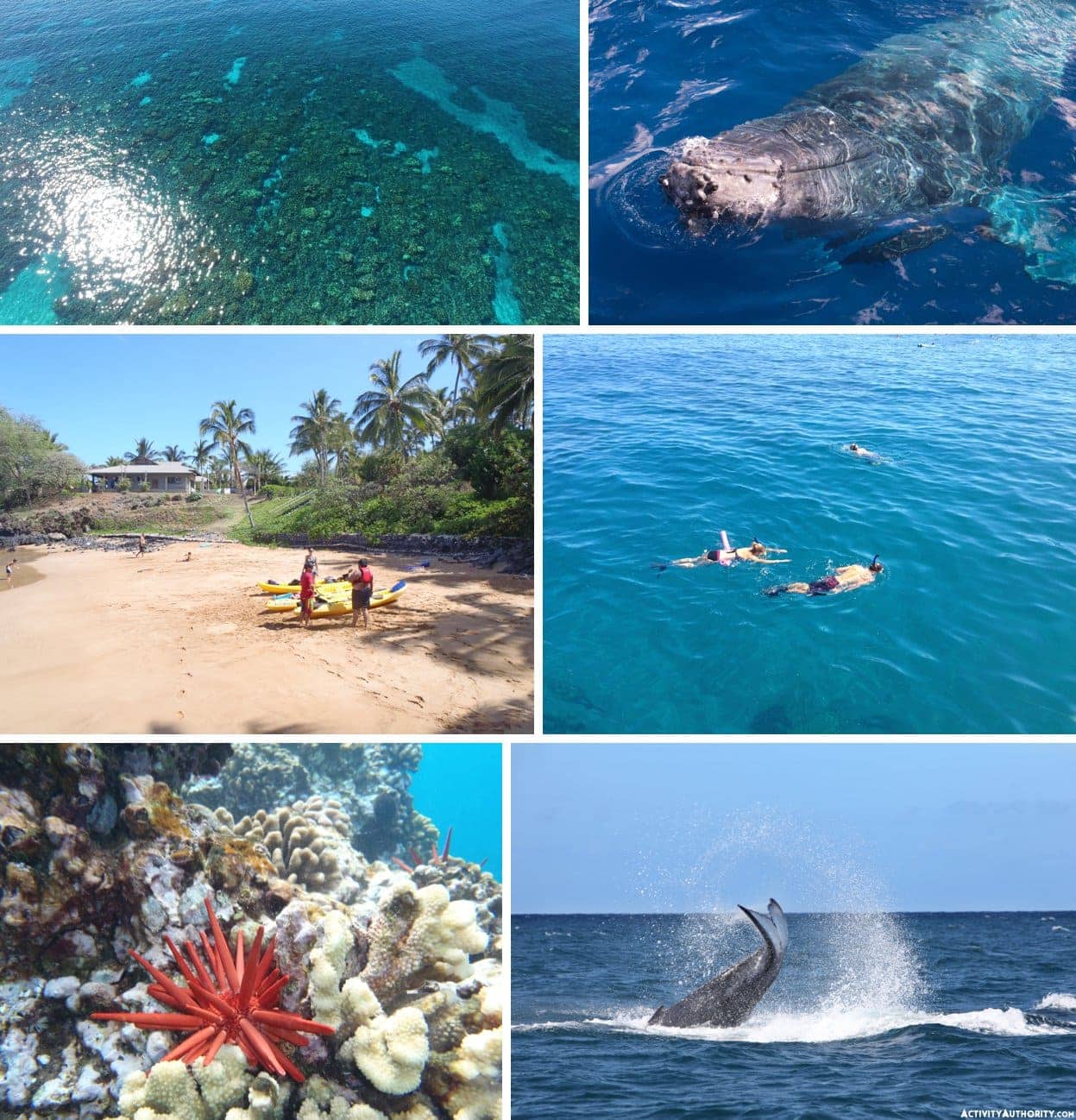 maui kayaking hawaii