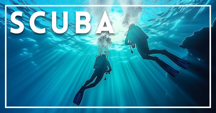 Maui scuba diving button Maui scuba diving button