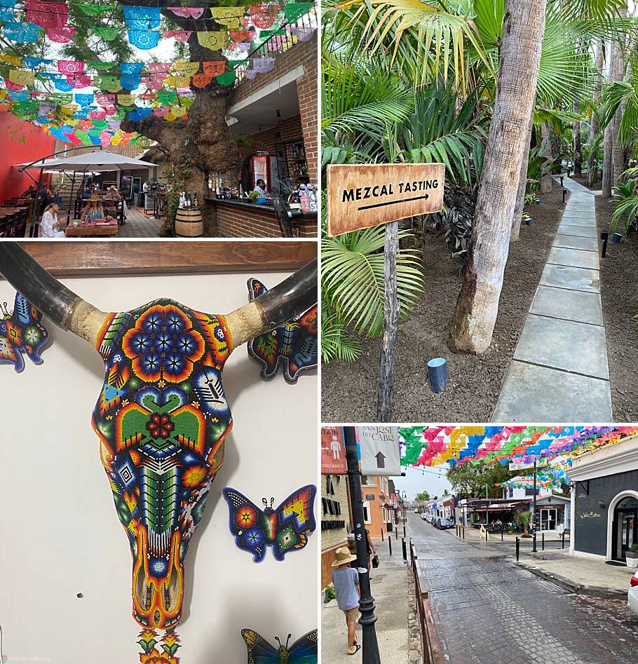 San Jose Del Cabo Activities City Tour